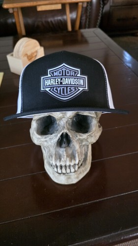 Nuovo logo harley davidson - nuovo,