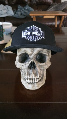 Nuovo logo harley davidson dtf - logo,